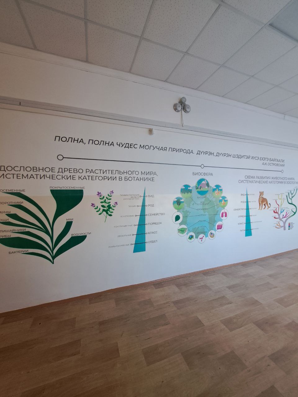 Лето - 2024.